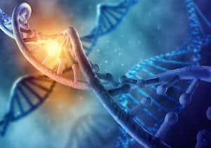 nadh dna nadh dna